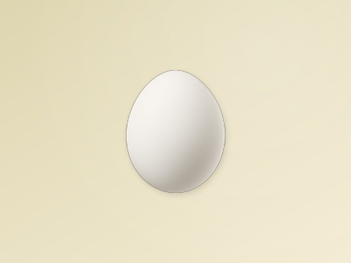 Chicken Egg