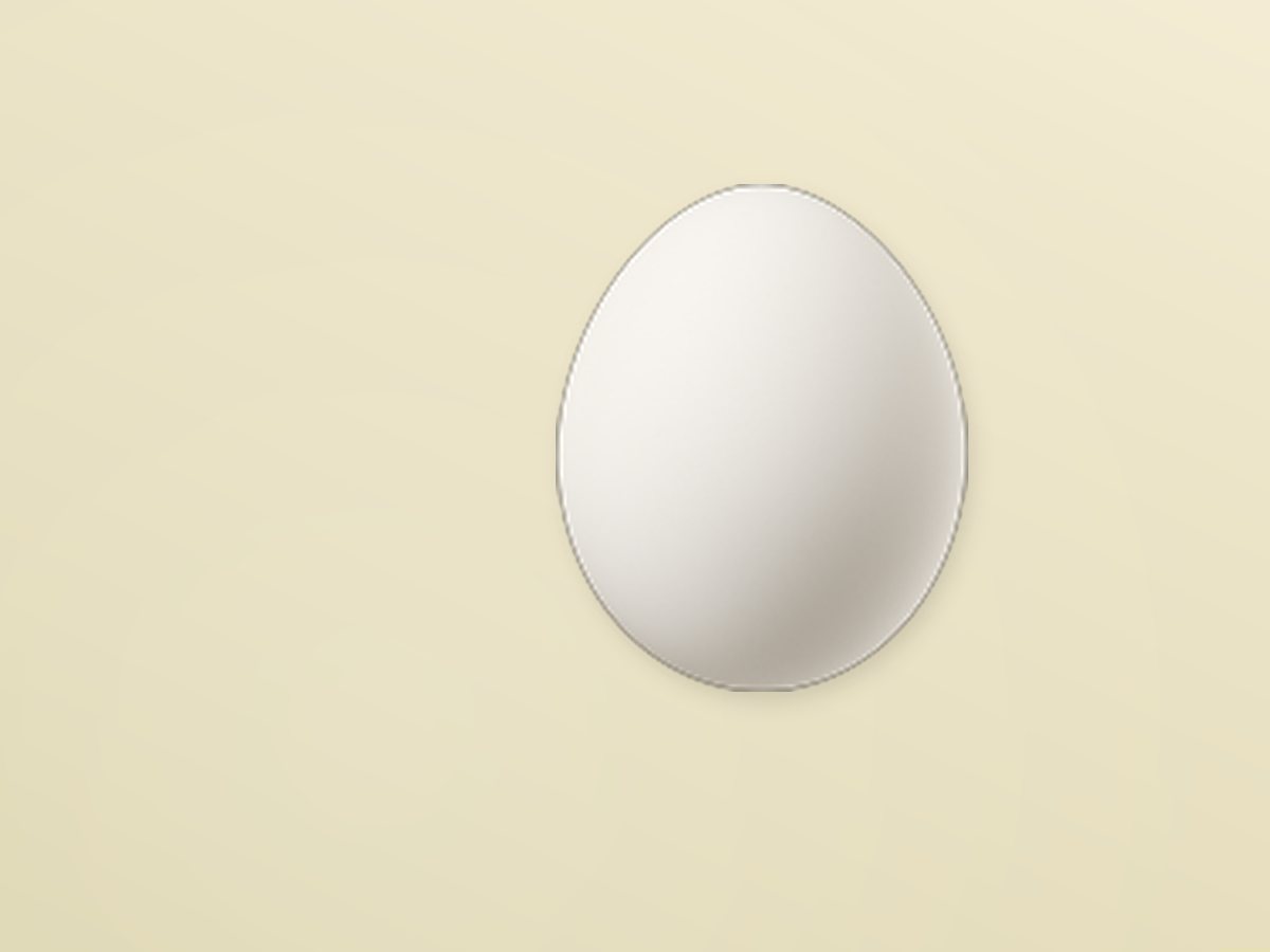 Chicken Egg 2
