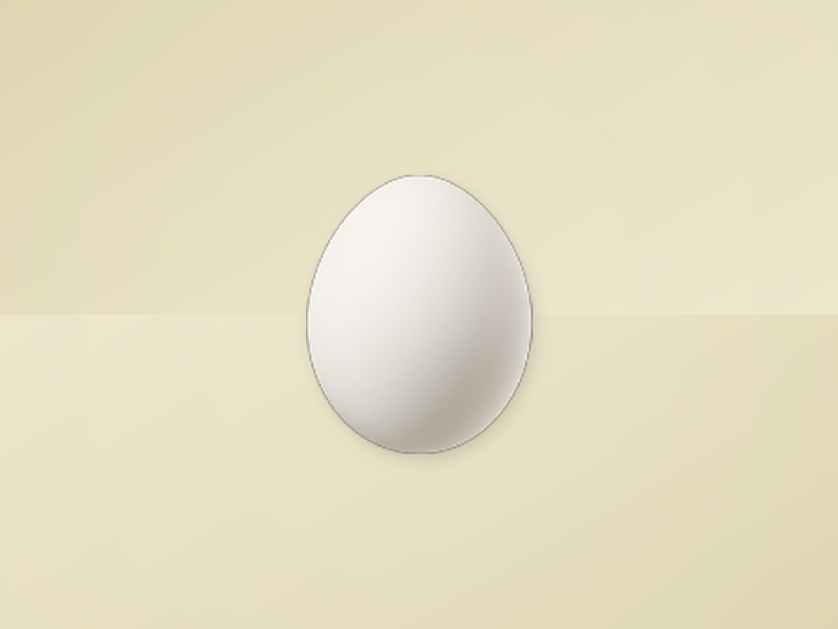 Chicken Egg 4