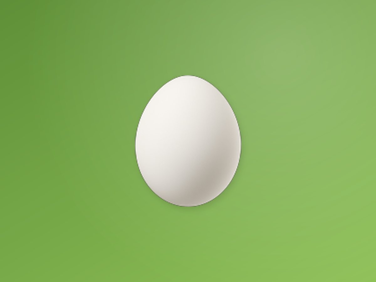 Duck Egg