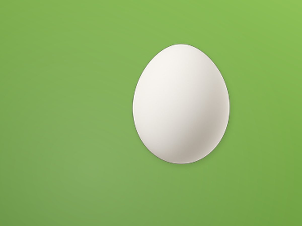 Duck Egg 2
