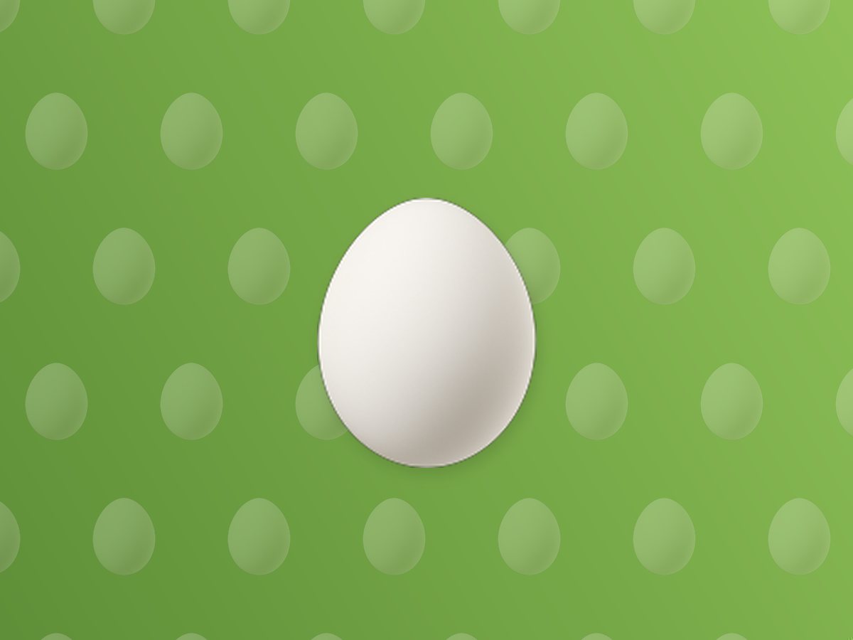 Duck Egg 3