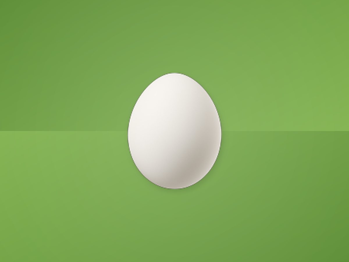 Duck Egg 4