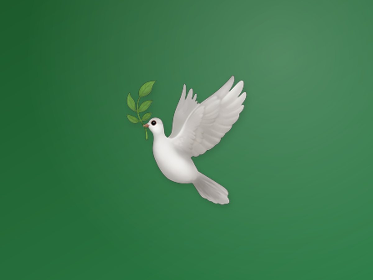 Pigeon & Fancy Birds