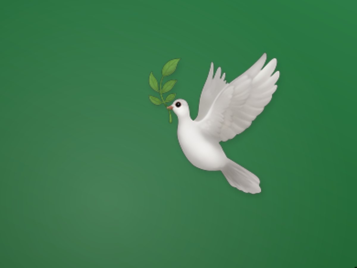 Pigeon & Fancy Birds 2