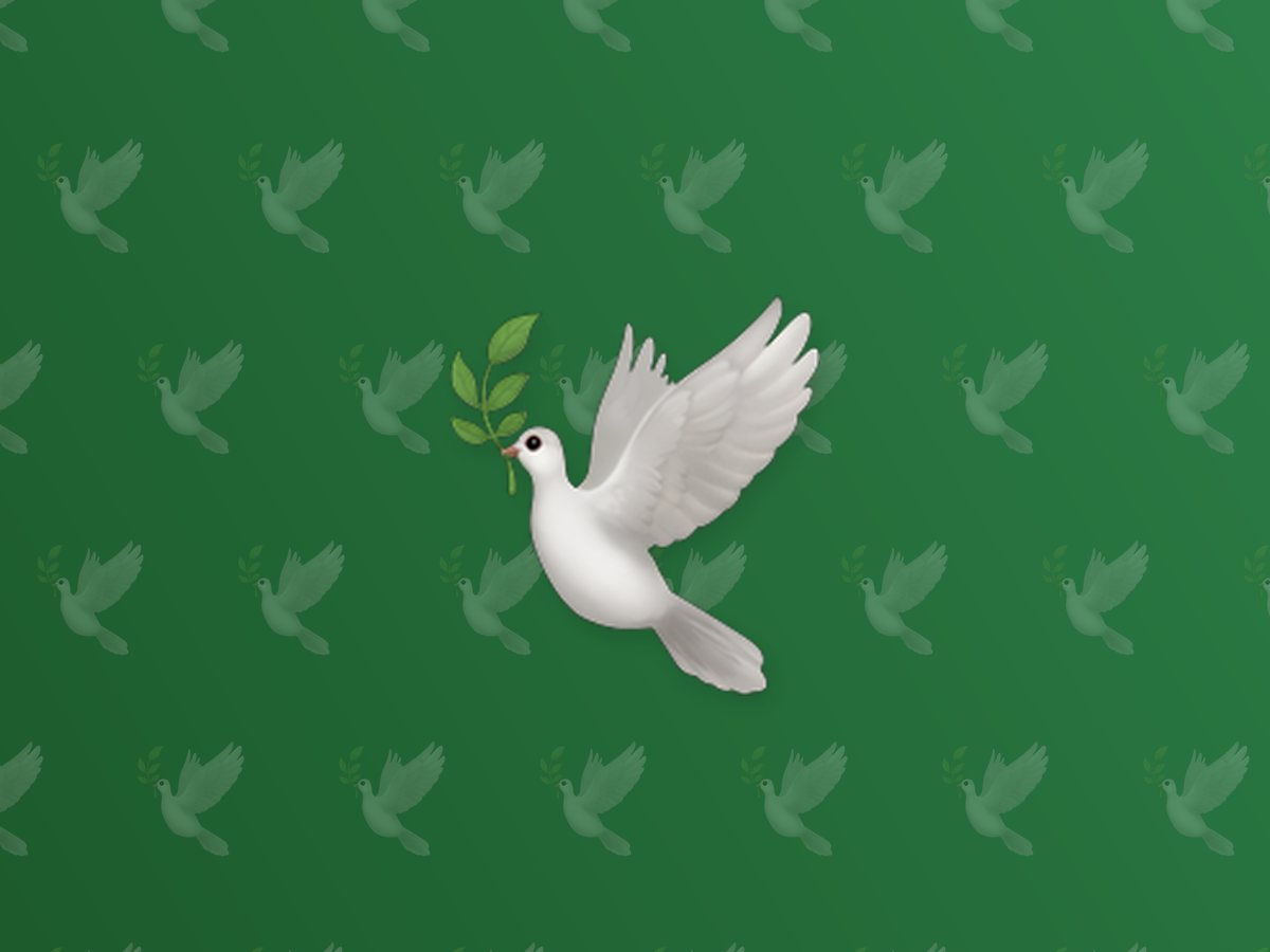 Pigeon & Fancy Birds 3