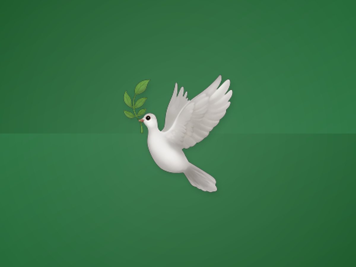 Pigeon & Fancy Birds 4