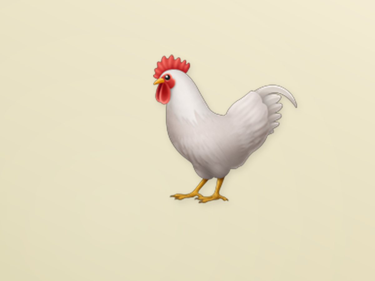 Farm-Raised Chicken 2