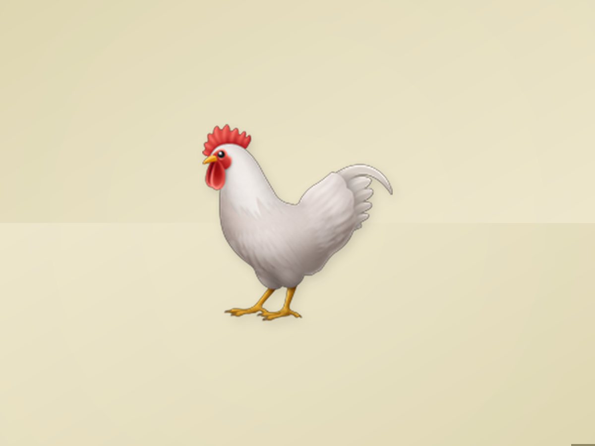 Farm-Raised Chicken 4