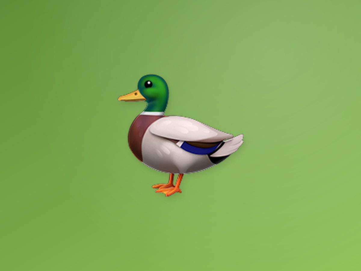 Farm Duck