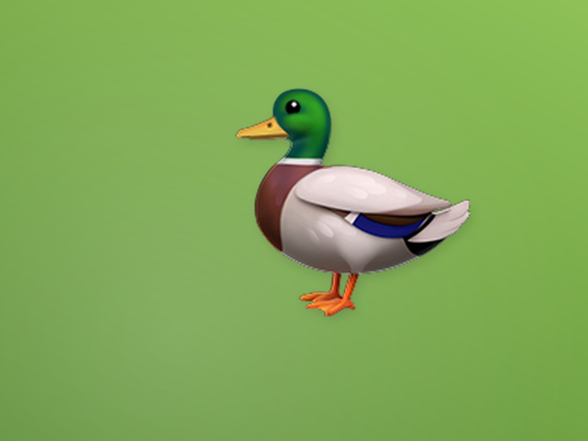 Farm Duck 2