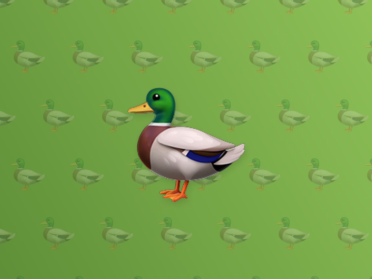 Farm Duck 3