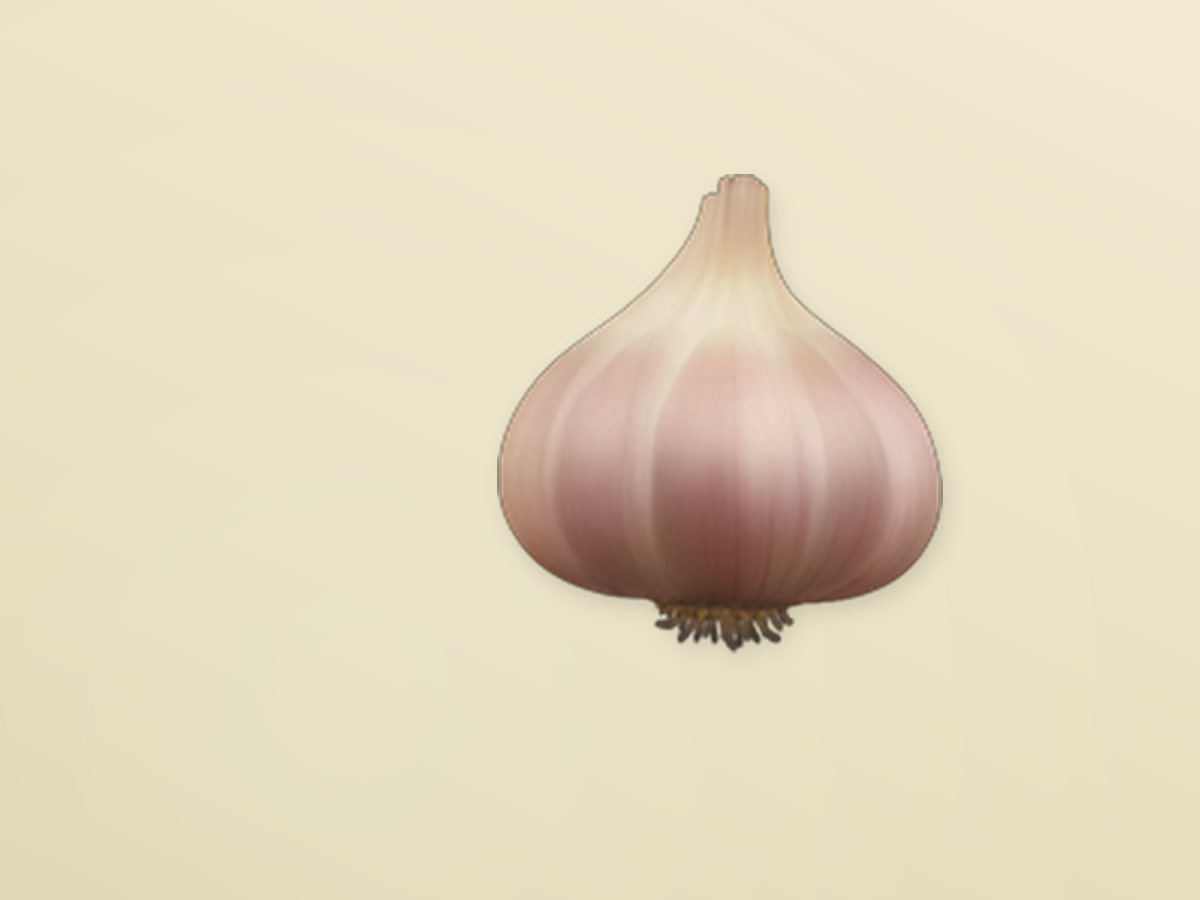 Garlic 2