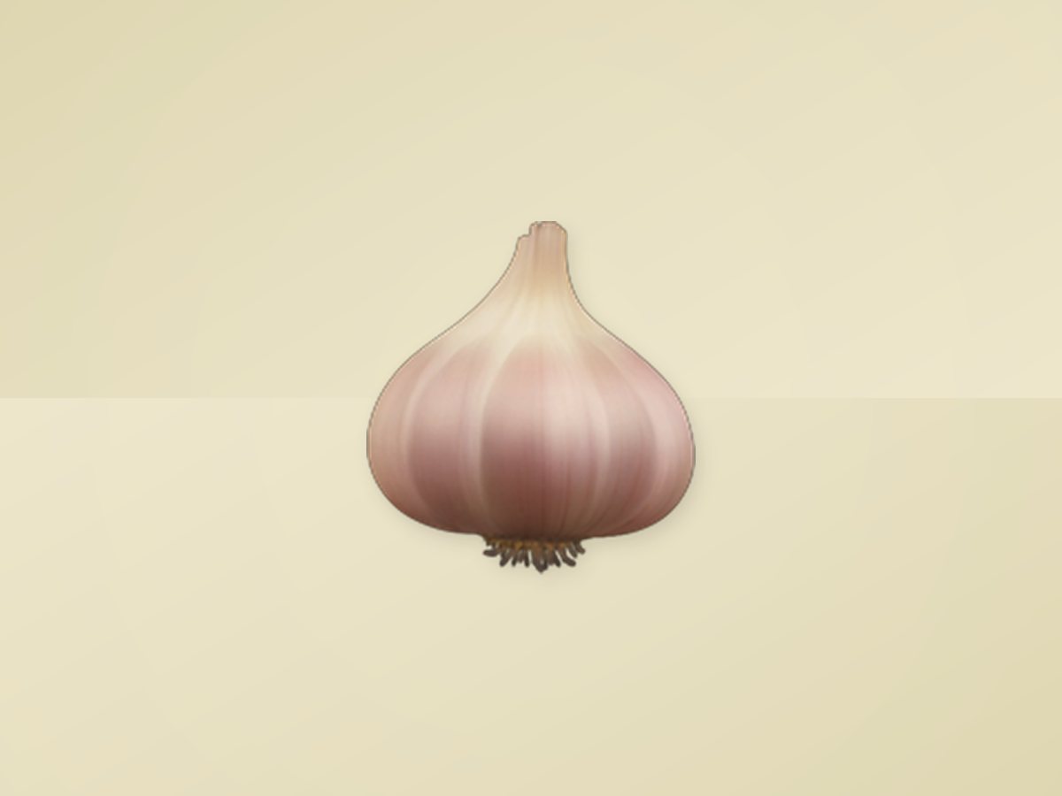 Garlic 4