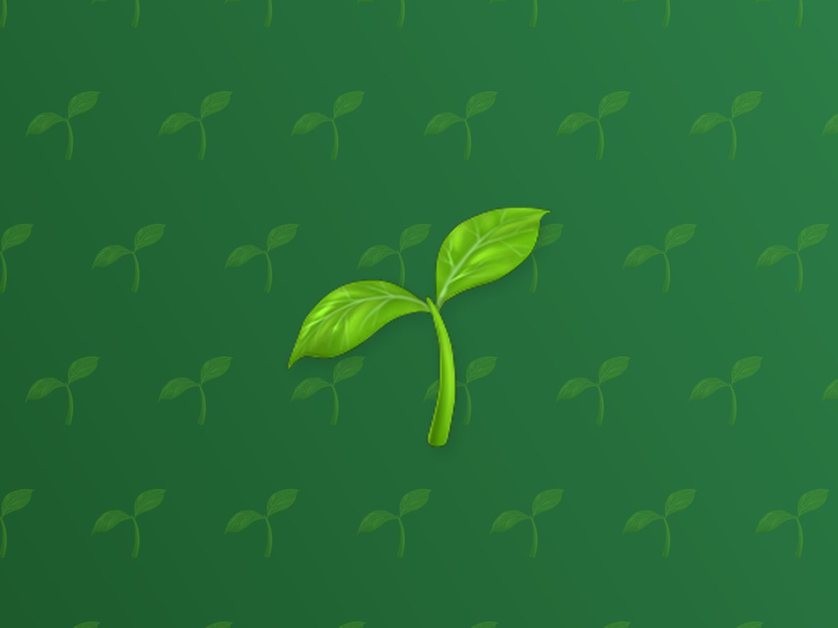 Garlic Seed 3