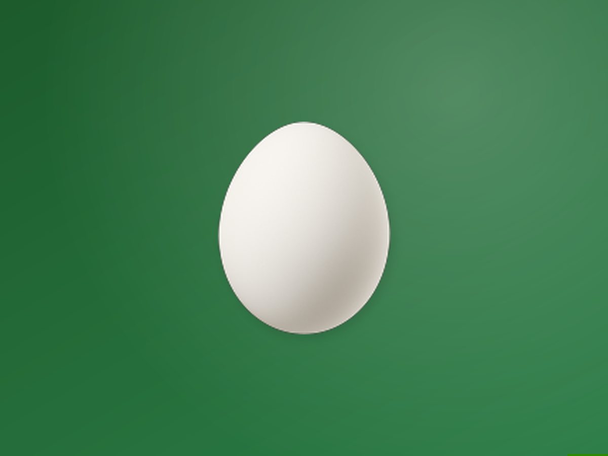 Organic Egg