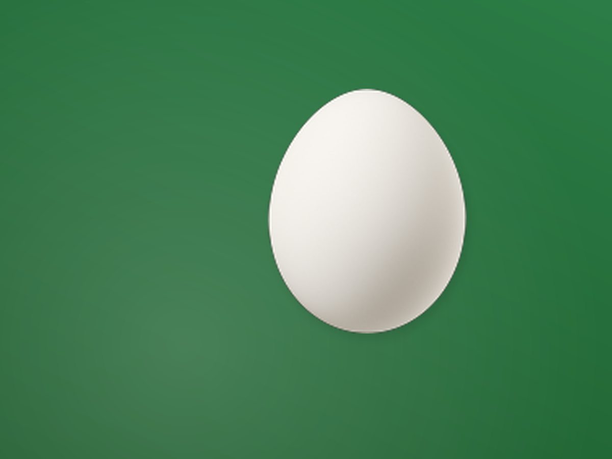 Organic Egg 2