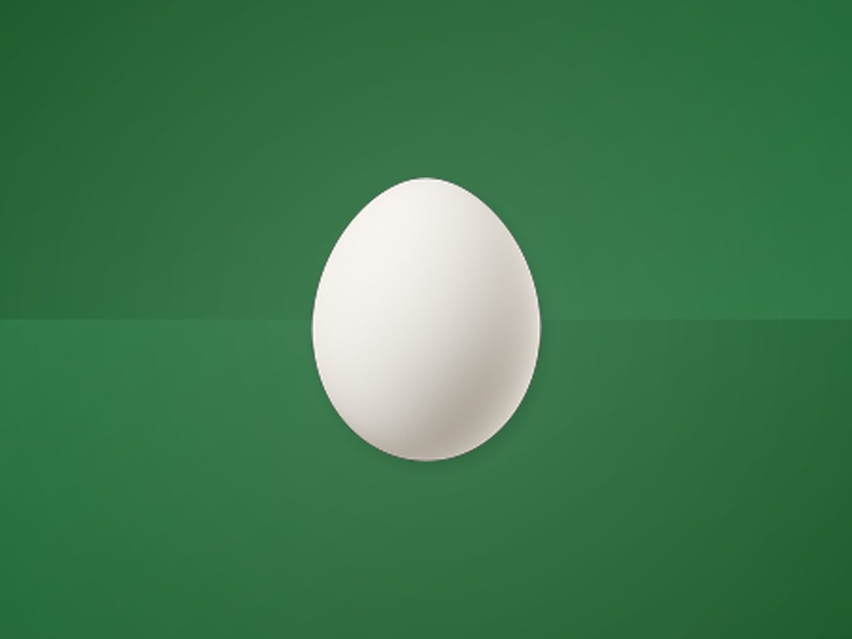 Organic Egg 4