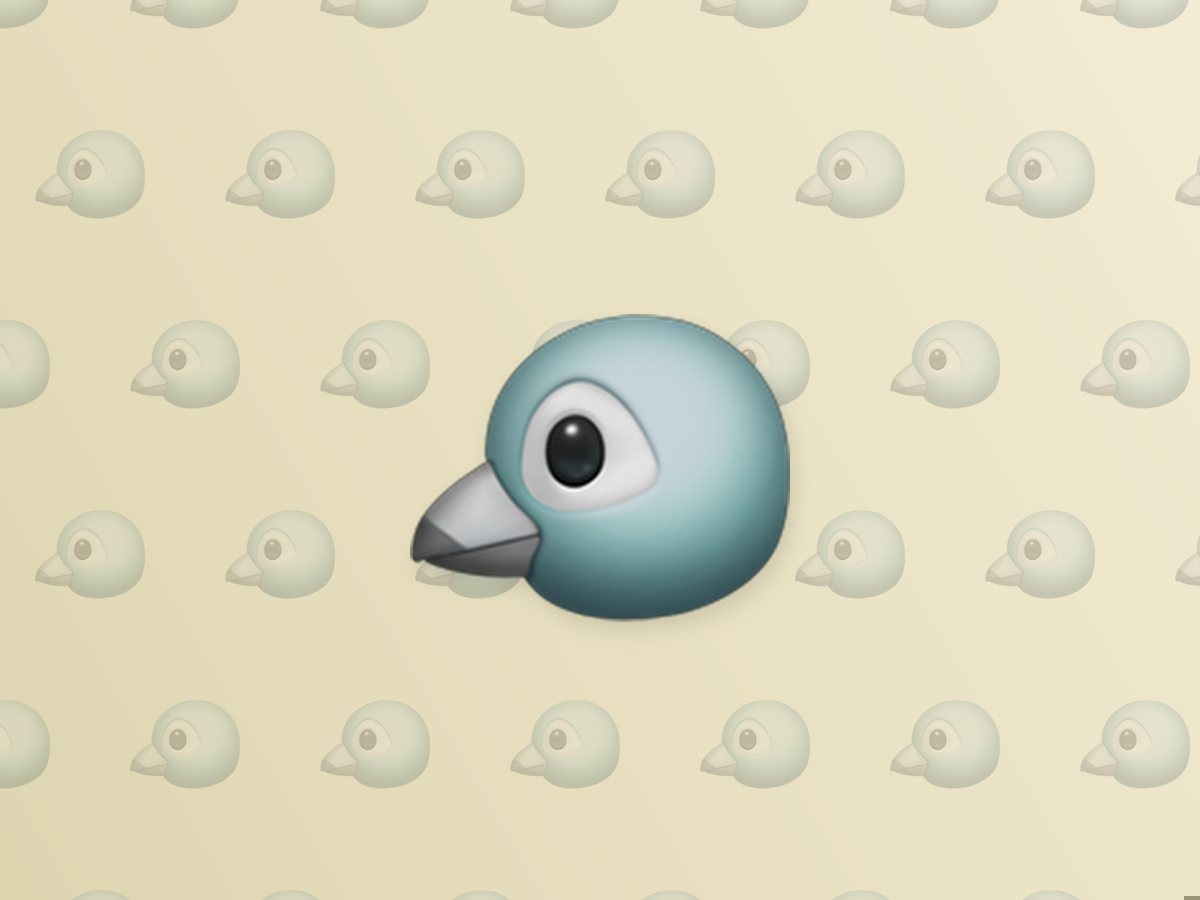 Quail (Kwail) 3