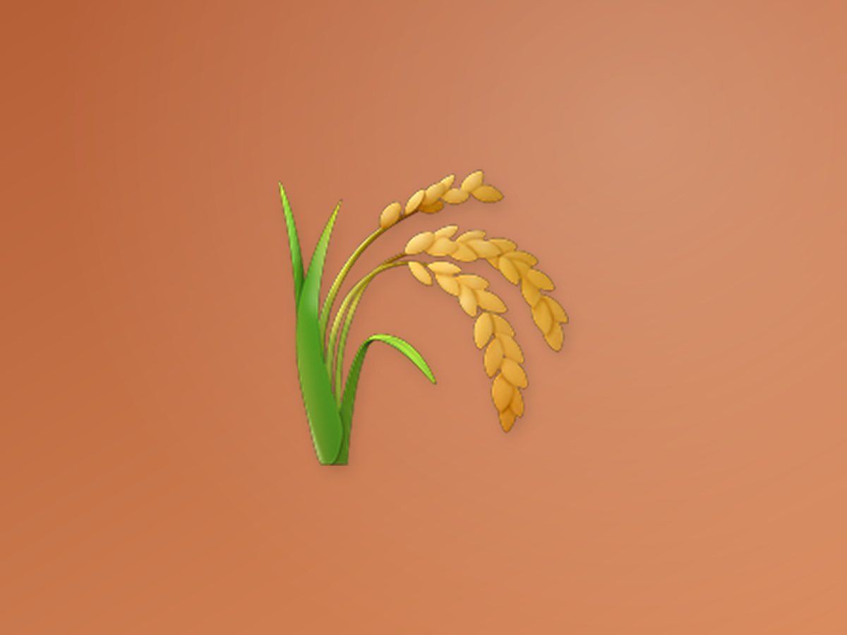 Jute