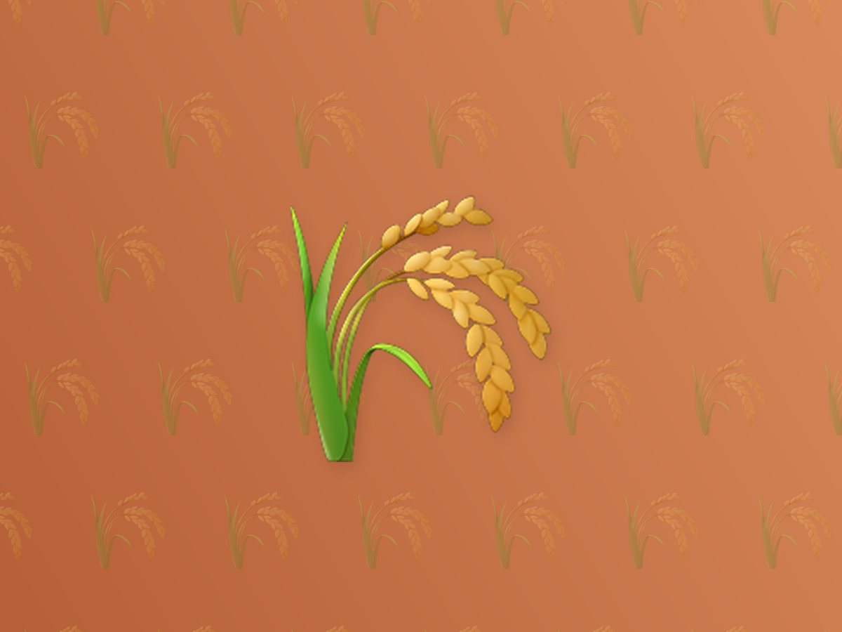 Jute 3